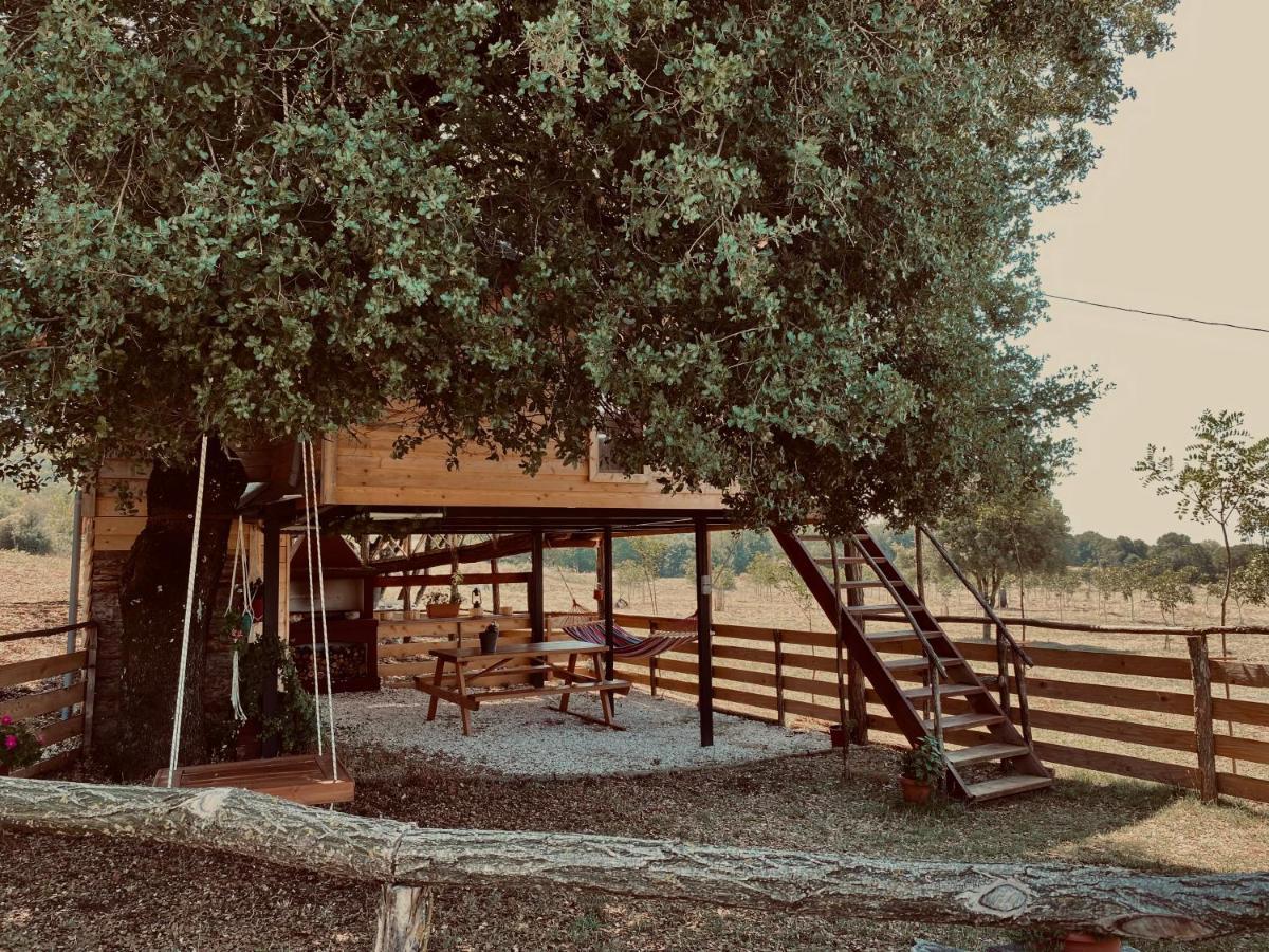 The Treevilla Яніна Екстер'єр фото
